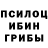 Галлюциногенные грибы Cubensis EChicken 54