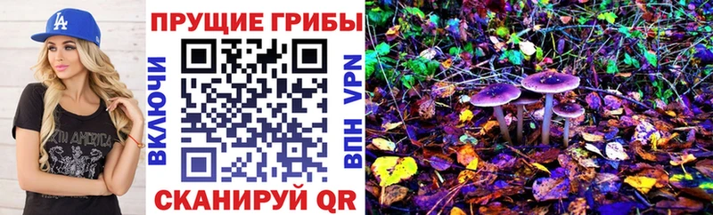 Галлюциногенные грибы прущие грибы  Богородицк 